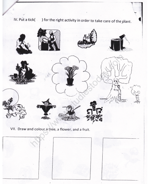 CBSE Class 1 EVS Worksheet - Plants Around Us (2) 3