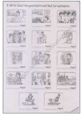 CBSE Class 1 EVS Worksheet - Revision Worksheet (4)