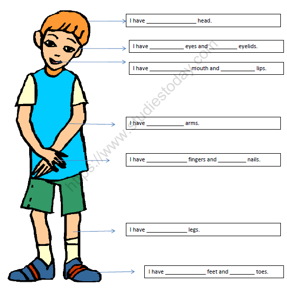 NCERT Solutions for Class 1 EVS (Environmental Studies)