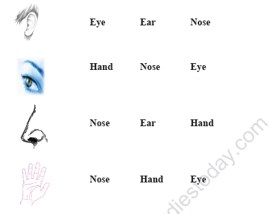 CBSE Class 1 EVS Worksheet - Revision Worksheet (7) 