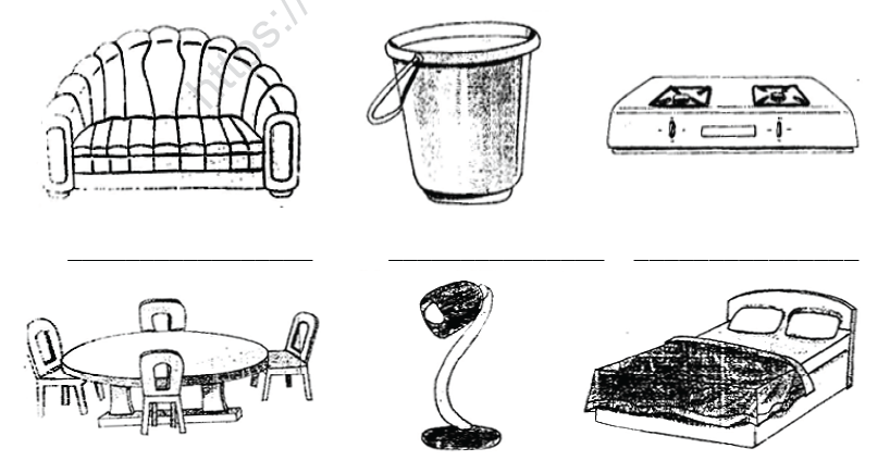 CBSE Class 1 EVS Worksheets (14) 5