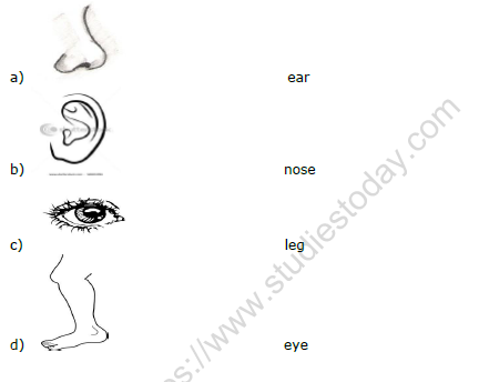 CBSE Class 1 EVS Worksheets (2) 1