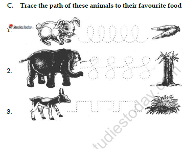 CBSE Class 1 English After My Bath Worksheet