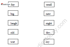 CBSE Class 1 English The Bubble Straw and the Shoe Worksheet