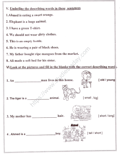 CBSE Class 1 English Worksheets (28) - Grammer and Vocabulary 
