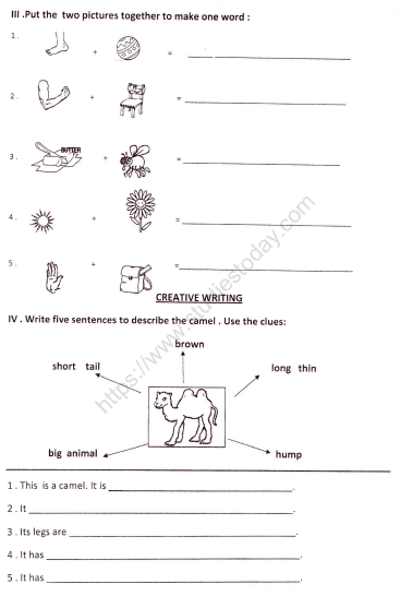 CBSE Class 1 English Worksheets (29) - Grammer and Vocabulary (1) 2
