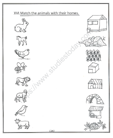 CBSE Class 1 English Worksheets (38) 4