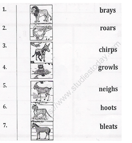 CBSE Class 1 English Worksheets (39) 2