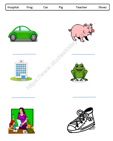 CBSE Class 1 English Worksheets (43) - Nouns 2