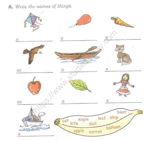 CBSE Class 1 English Worksheets (49)