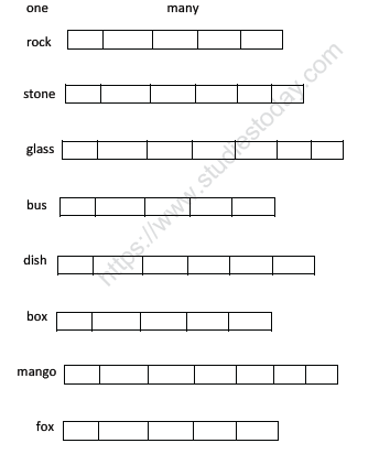 CBSE Class 1 English Worksheets (58) - Plurals