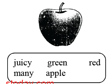CBSE Class 1 English Worksheets (69)