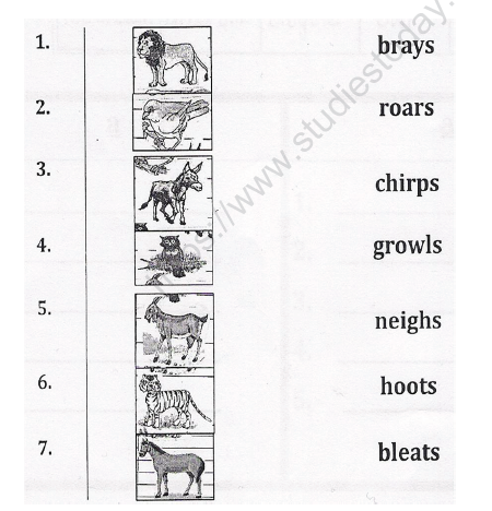 CBSE Class 1 English Worksheets (70) 