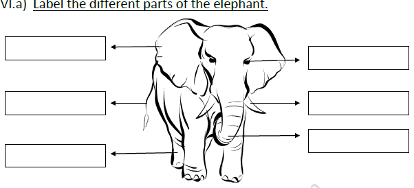 CBSE Class 1 English Worksheets (76) 2