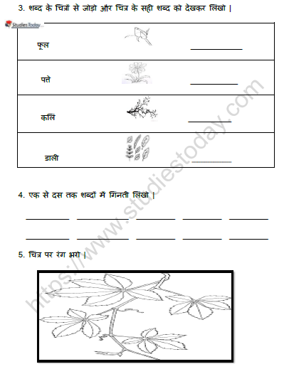 CBSE Class 1 Hindi पत्ते ही पत्ते Worksheet