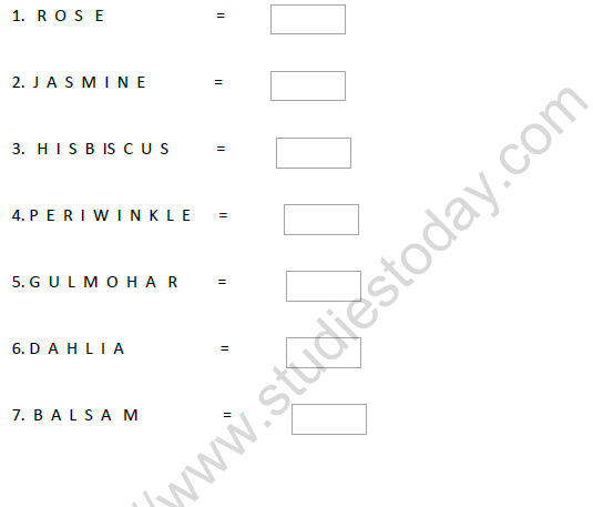 CBSE Class 1 Maths Data Handling Worksheet