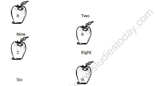 CBSE Class 1 Maths Practice Worksheet (3) 3