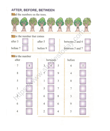 CBSE Class 1 Maths Practice Worksheets (92) - After Before