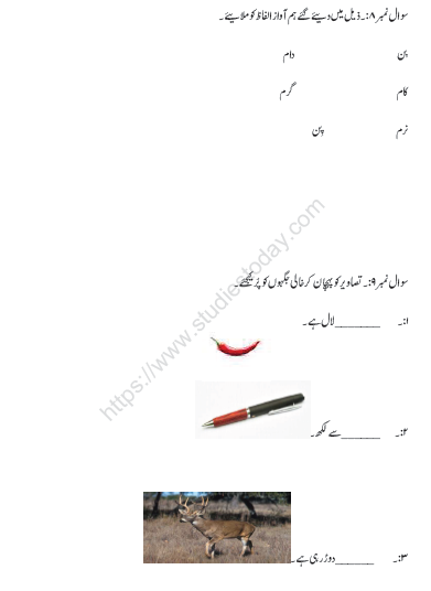 CBSE Class 1 Urdu Worksheet 4