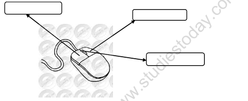 CBSE Class 2 Computers Practice Worksheet (3) 1