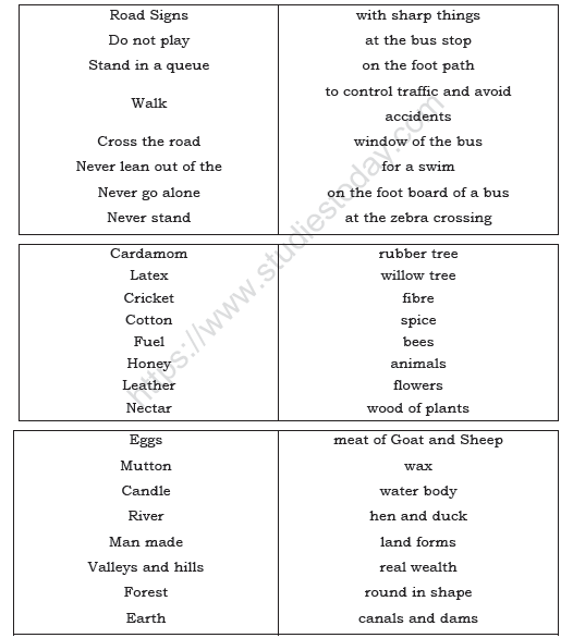 CBSE Class 2 EVS Practice Worksheets (60) - Revision 3