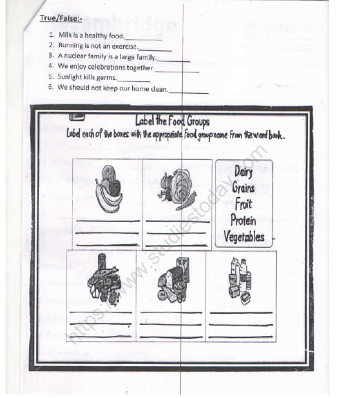 CBSE Class 2 EVS Practice Worksheets (71) - Revision 2