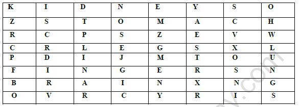 CBSE Class 2 EVS Revision Worksheet Set B