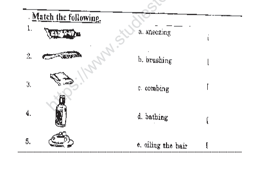 CBSE Class 2 EVS Sample Paper SA1 2014 4