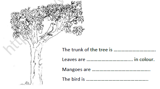 CBSE Class 2 English Curly Locks and the Three bears Worksheet