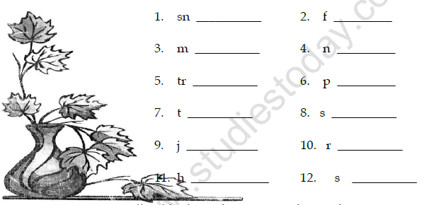 CBSE Class 2 English Grasshopper and the Ant Worksheet