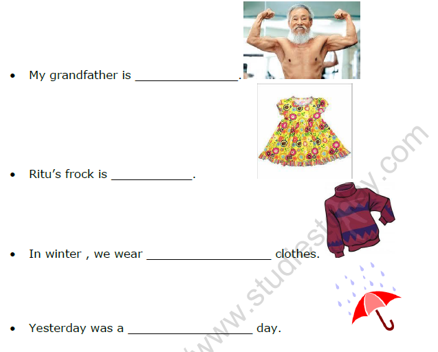 CBSE Class 2 English Practice Worksheet (8)