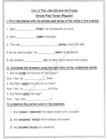 CBSE Class 2 English Practice Worksheets (104) - Simple Past Tense 1