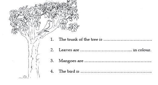 CBSE Class 2 English Practice Worksheets (29)-Curly Locks 3