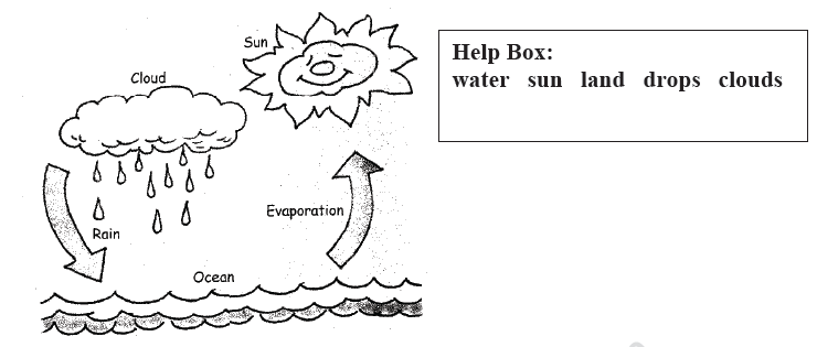 CBSE Class 2 English Practice Worksheets (37)-Rain 3