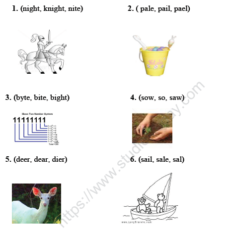 CBSE Class 2 English Practice Worksheets (47) - Revision 2