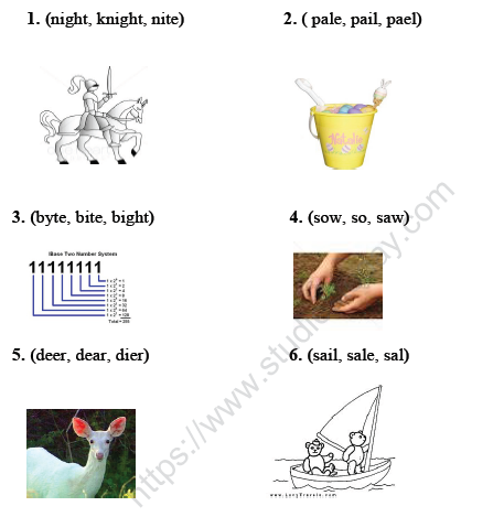 CBSE Class 2 English Revision Worksheet Set C