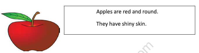 CBSE Class 2 English Practice Worksheets (60) - Describe 1