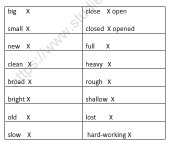 CBSE Class 2 English Practice Worksheets (72) - Revision 9
