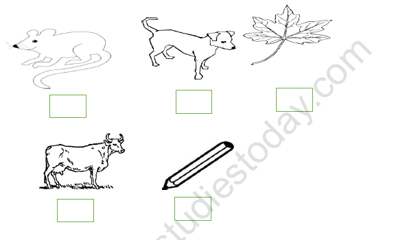 CBSE Class 2 Maths How Much can you Carry Worksheet