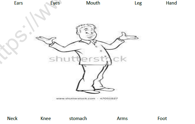 CBSE Class 3 EVS A House Like This Worksheet Set B