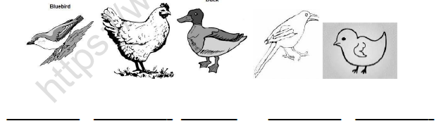 CBSE Class 3 EVS Flying High Worksheet