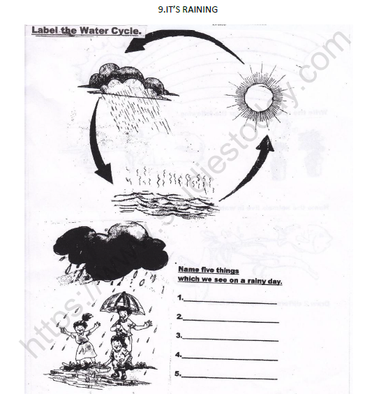 CBSE Class 3 EVS Its Raining Worksheet