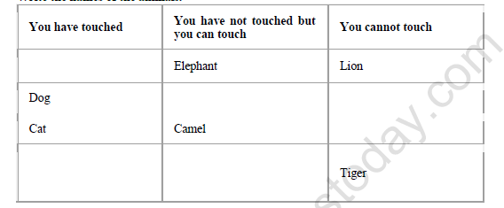 CBSE Class 3 EVS Our Friends Animals Worksheet