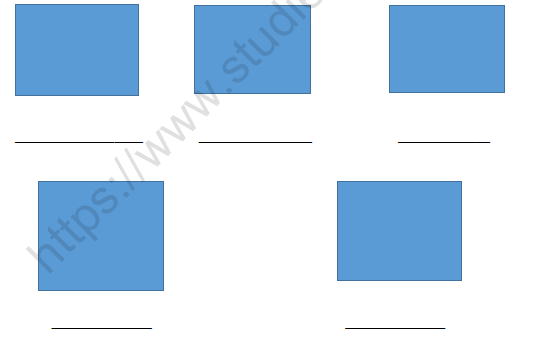 CBSE Class 3 EVS Plant Fairy Worksheet