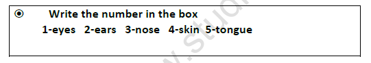 CBSE Class 3 EVS Saying Without Speaking Worksheet