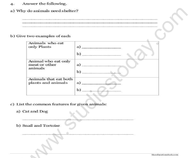 CBSE Class 3 EVS The Story of Food Worksheet