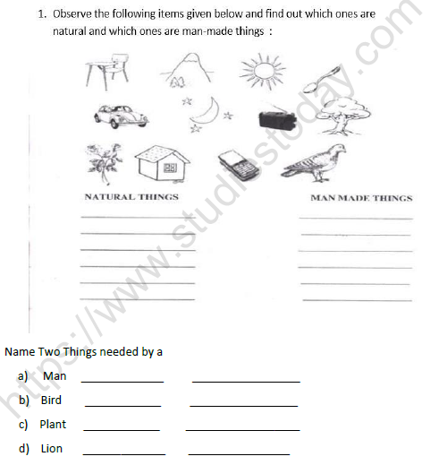 CBSE Class 3 EVS Web of Life Worksheet