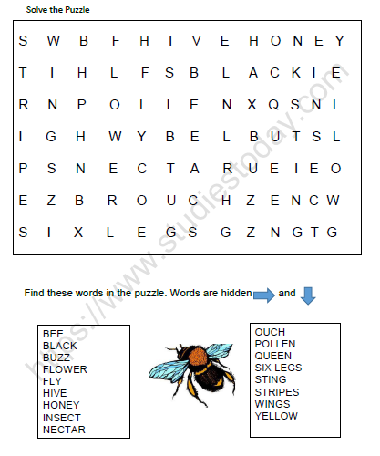 CBSE Class 3 EVS Web of Life Worksheet