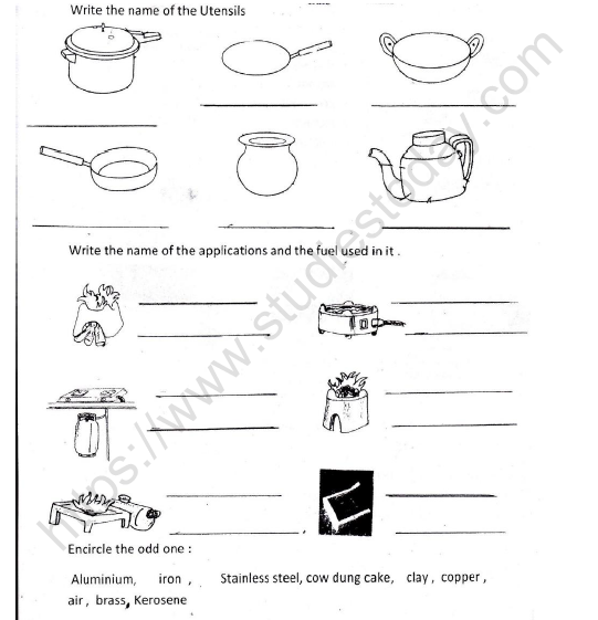 CBSE Class 3 EVS What is Cooking Worksheet