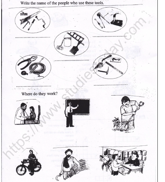 NCERT Book Class 3 EVS Chapter 12 Work We Do